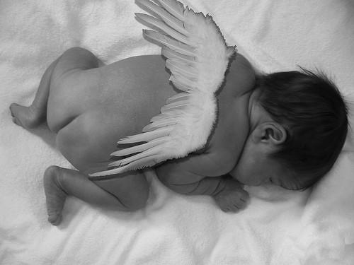 baby angel